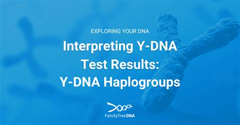 Interpreting Y-DNA Test Results: Y-DNA Haplogroups